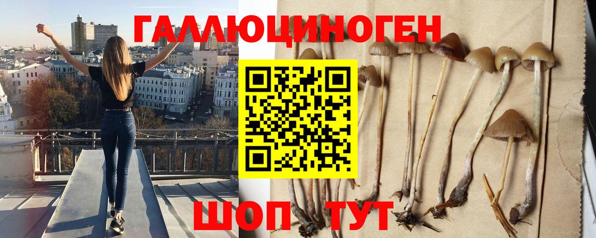 Воскресенск  Псилоцибиновые грибы Psilocybine cubensis  Вход с VPN 