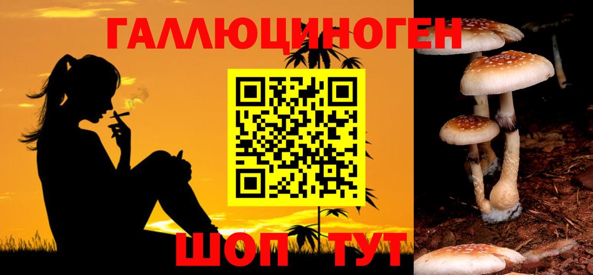 Псилоцибиновые грибы мицелий Воскресенск